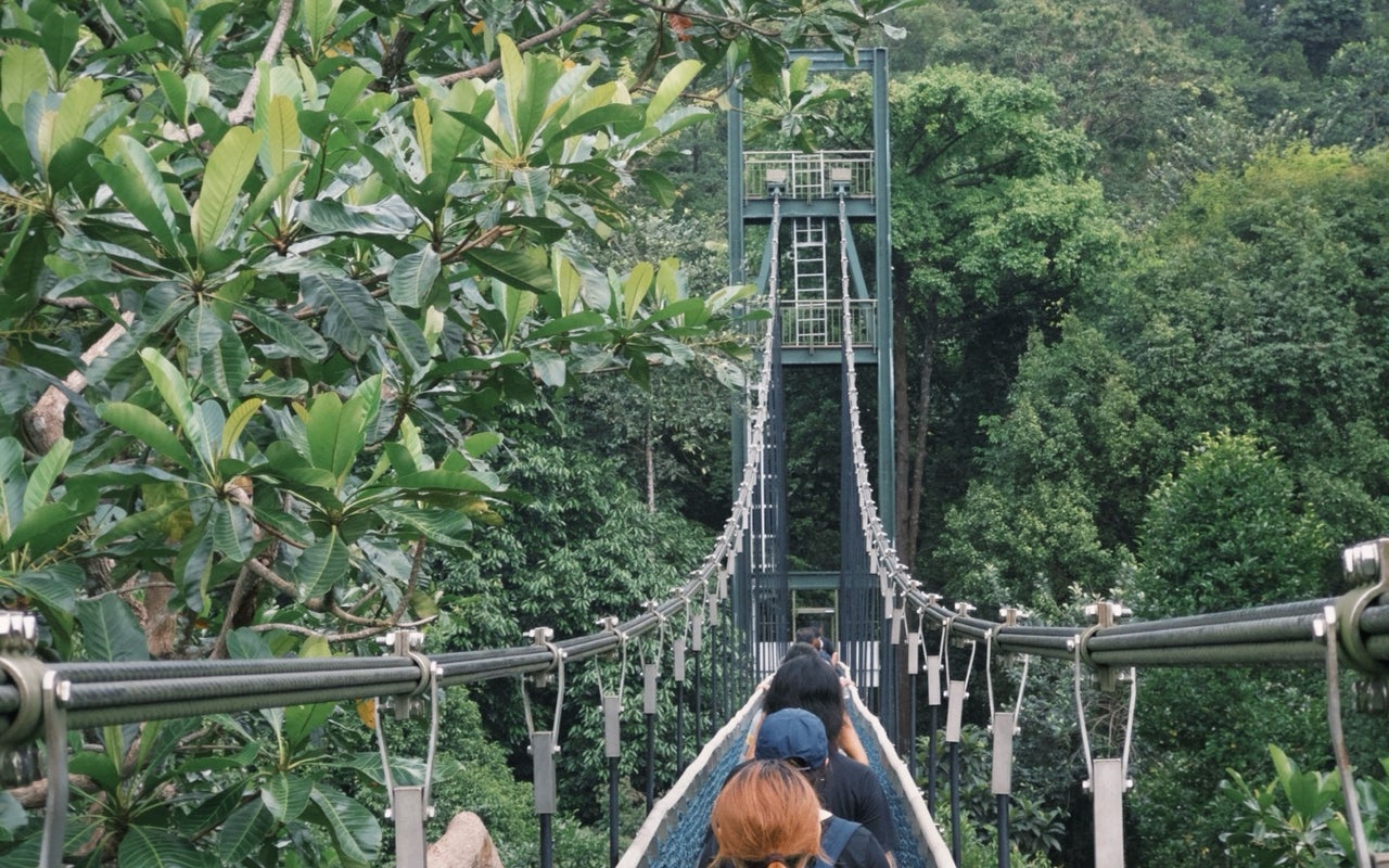 TreeTop Walk