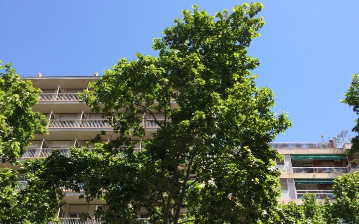Parc de les Corts