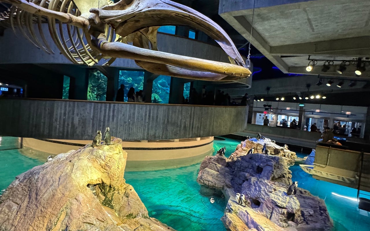 New England Aquarium