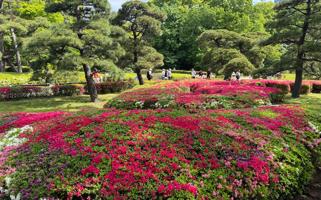 Imperial Palace East Garden (皇居東御苑)