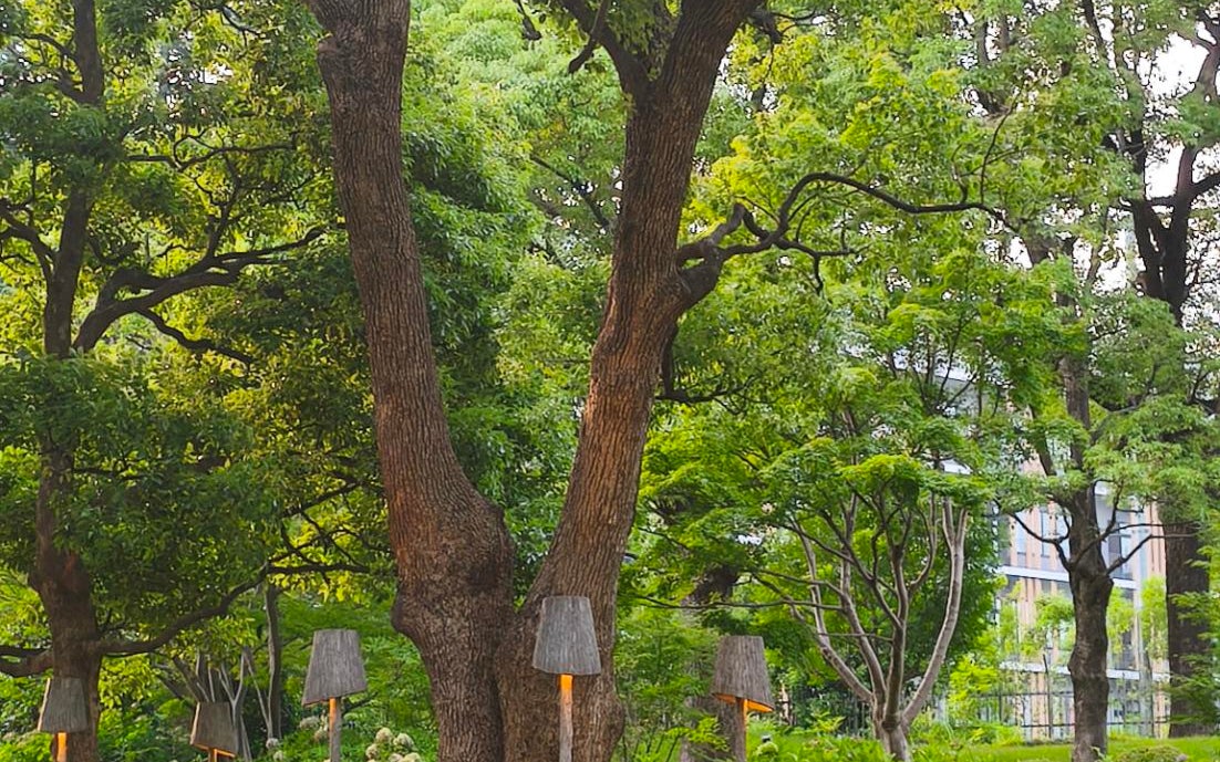 Tokyo Midtown Lawn Square (東京ミッドタウン 芝生広場)