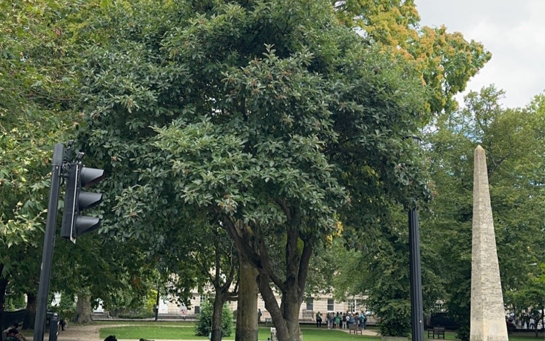 Queen Square