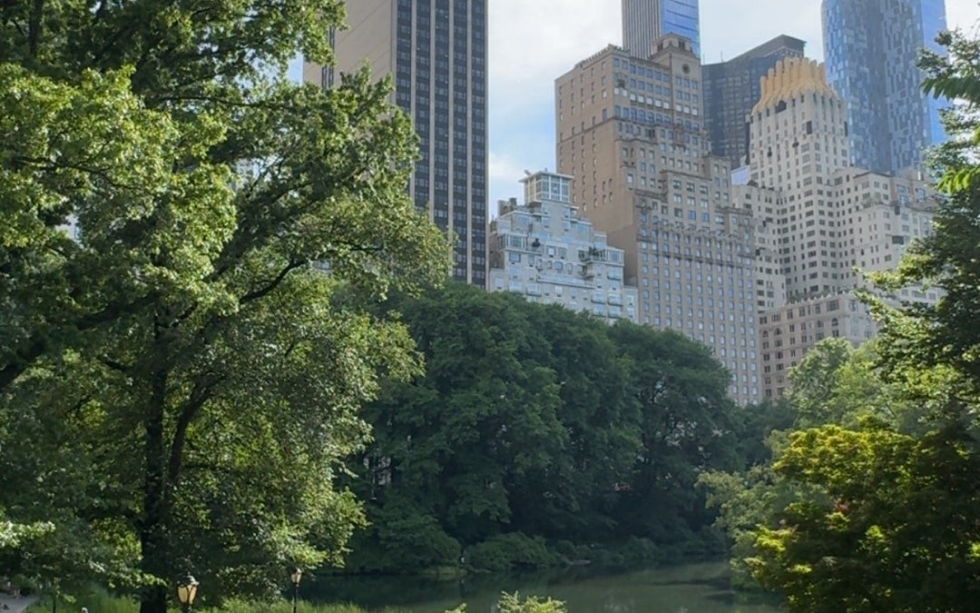 Central Park