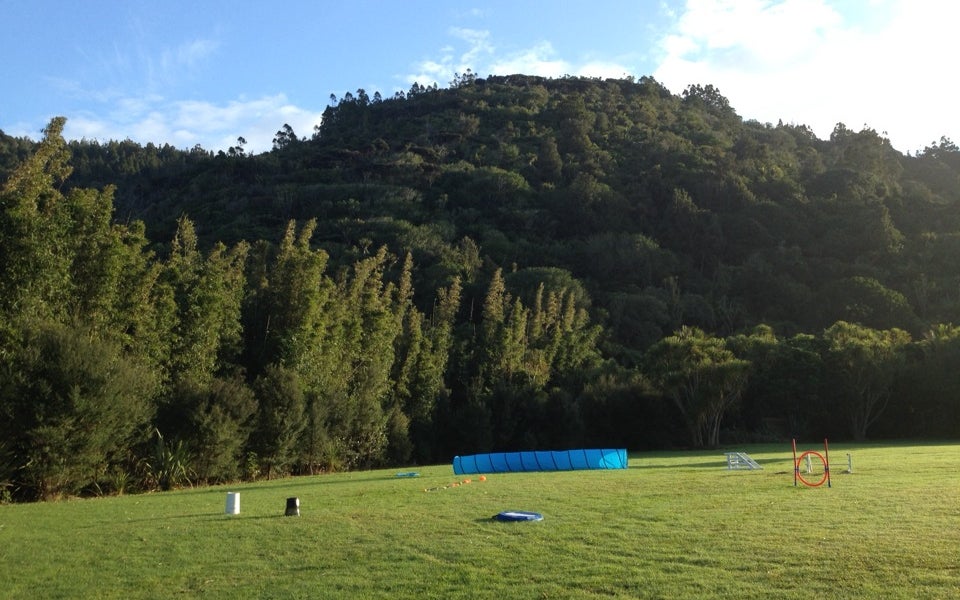 Stedfast Park