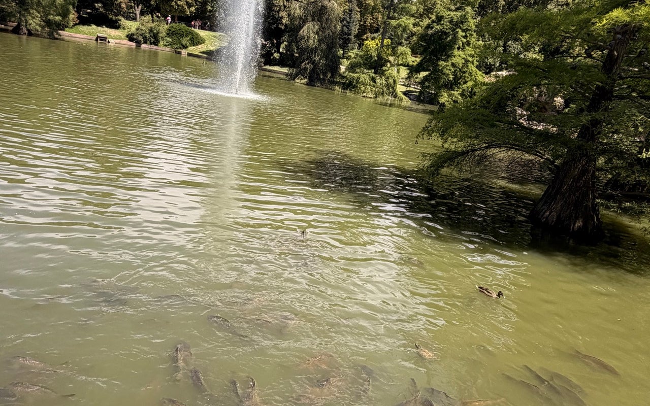 Palacio de Cristal del Retiro