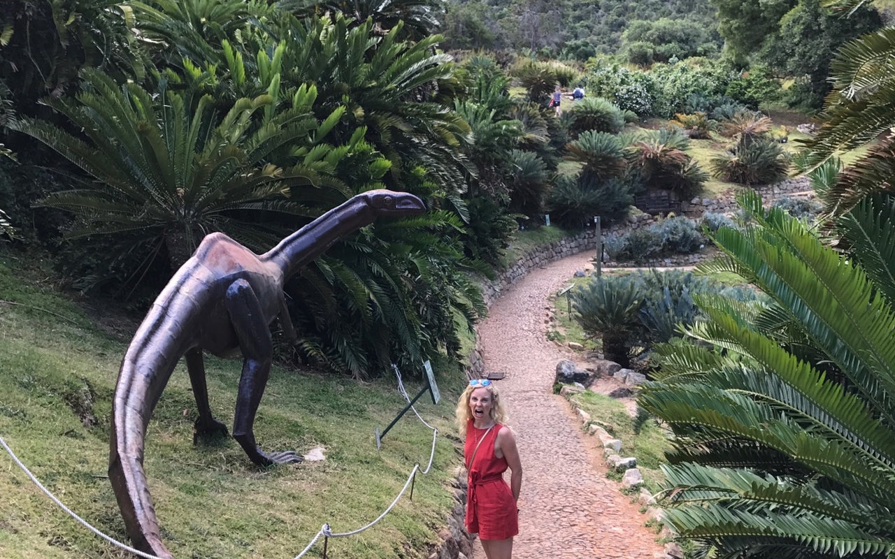 Cycad Amphitheatre