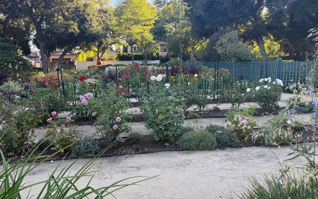 Gamble Garden