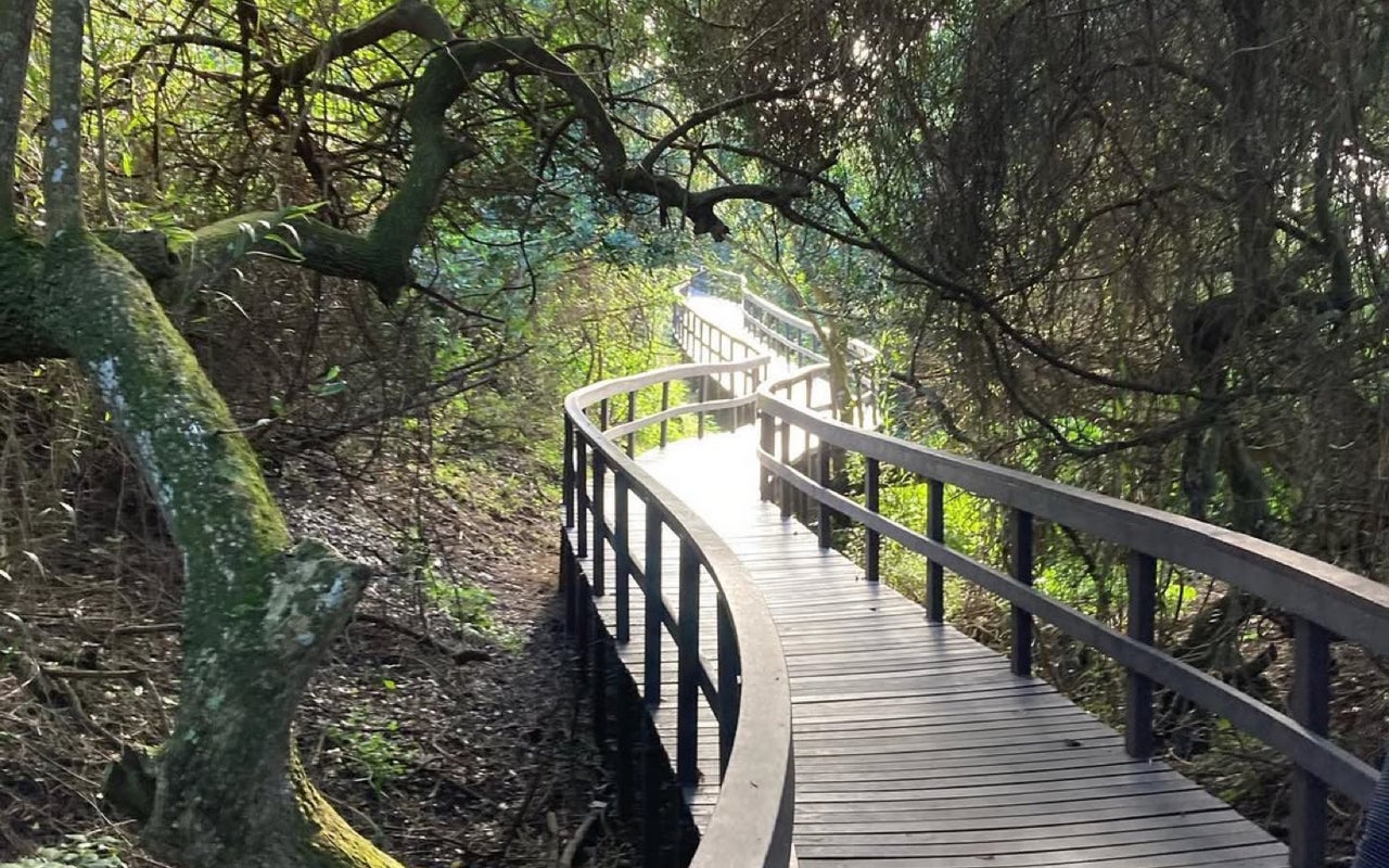 Umhlanga Nature Reserve