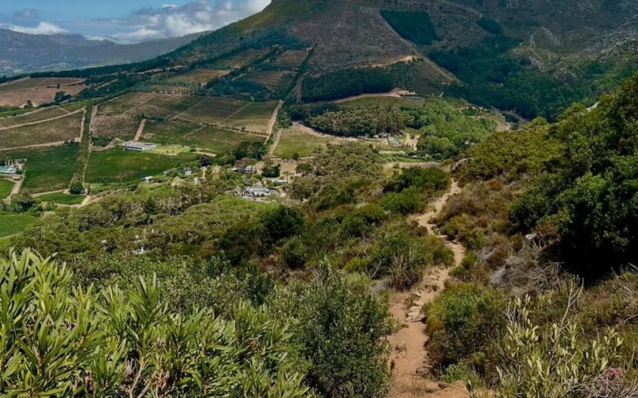 Cecilia Forest