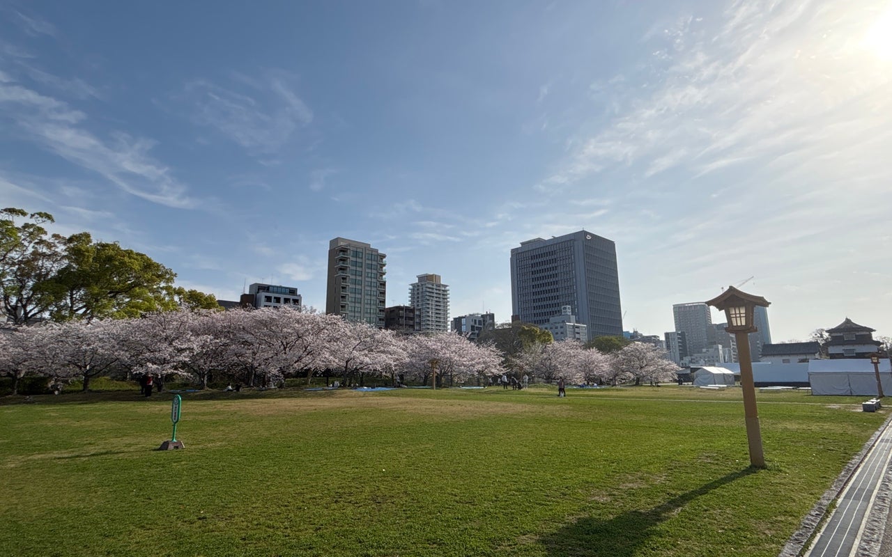 Maizuru Park (舞鶴公園)