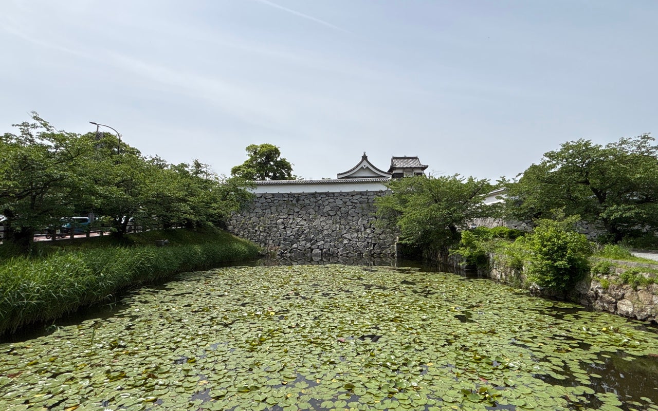 Fukuoka Castle Ruins (福岡城跡)