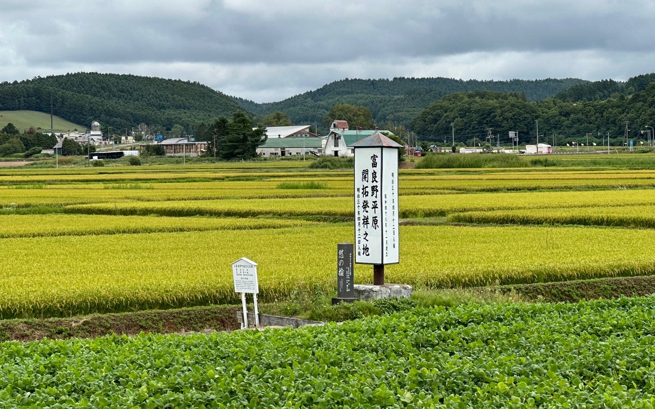 Hinode Park Lavender Garden (富良野平原開拓発祥之地)