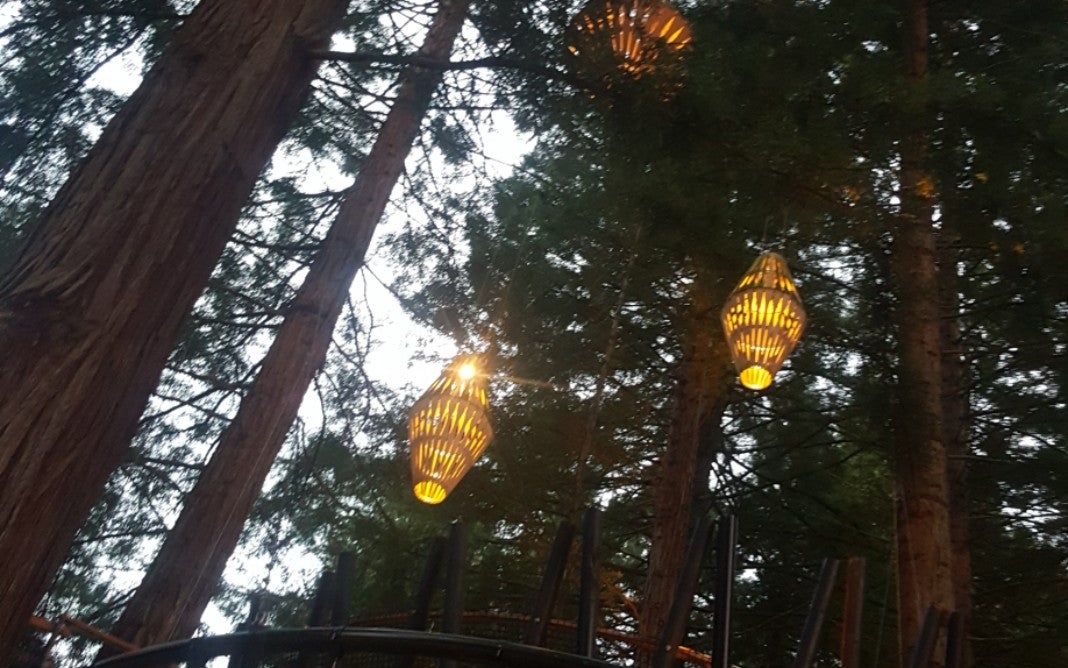 Puarenga Park