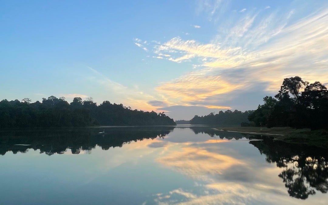 MacRitchie Reservoir