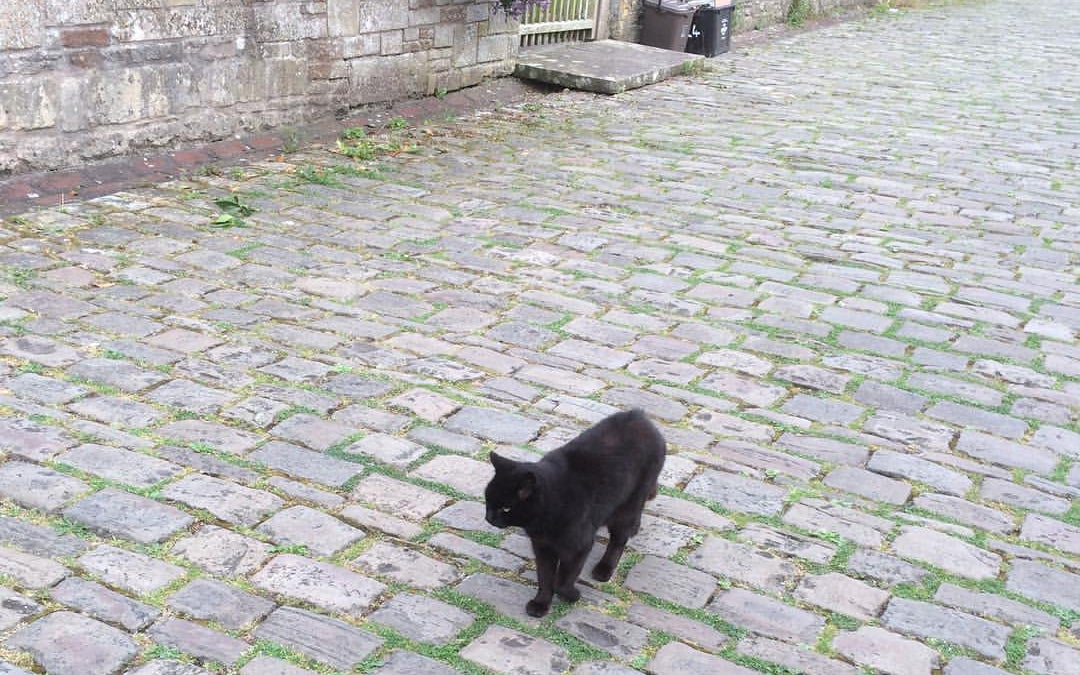 Vicars Close