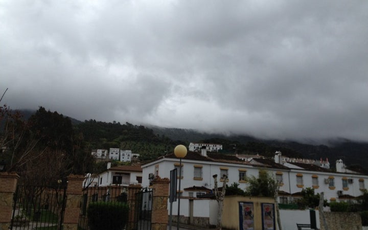 El Bosque