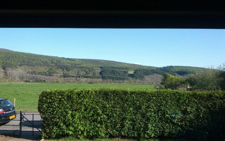 Rothes