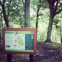 Eastwood RSPB Reserve