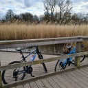 The Wetland Boardwalk