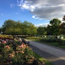 Queen Mary's Gardens