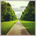 Cirencester Park