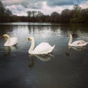 Earlswood Lakes