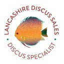 Lancashire Discus Sales