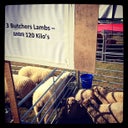 Findon Valley Sheep Fair
