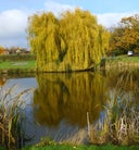 Beaconsfield Caravan Park