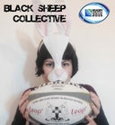 The Black Sheep Collective Cic