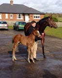 Newsells Stud Farm