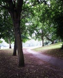 Barclay Park