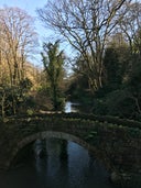 Jesmond Dene Nature Area