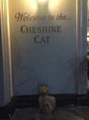 The Cheshire Cat