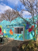 Horniman Butterfly House
