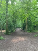 Worcester Woods Country Park