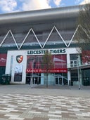 Leicester Tigers Cat Stand