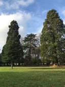 Sequoia Park