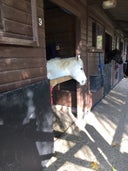 South Medburn Equestrian Centre