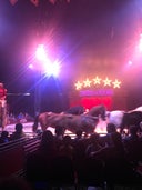 Zippo's Circus