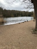 Priory Park Lake