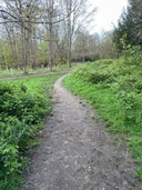 Purley Beeches