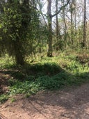 Friends of Bourne Woods
