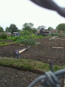 Kingston Road Allotments