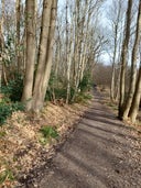 Norsey Wood
