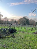 Stanlake Park Wine Estate