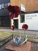 World War 1 Centenary Poppies