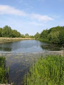 Waters Edge Country Park & Visitor Centre