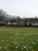 Locke Park