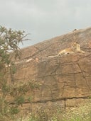 West Midlands White Lion Reserve